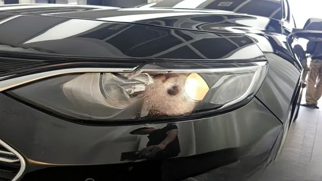 Chevrolet Malibu 2022 2.0 Turbo LT Special